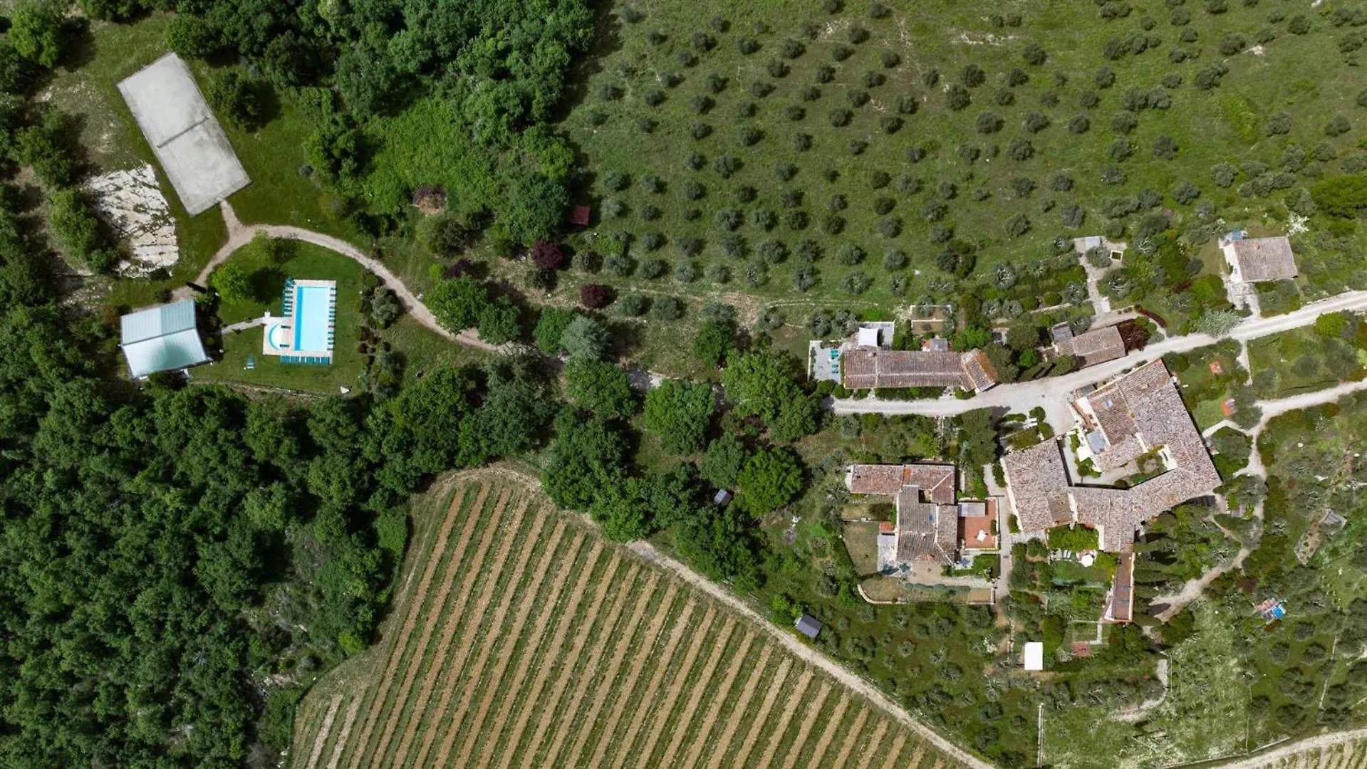 Lavanda Gaiole in Chianti