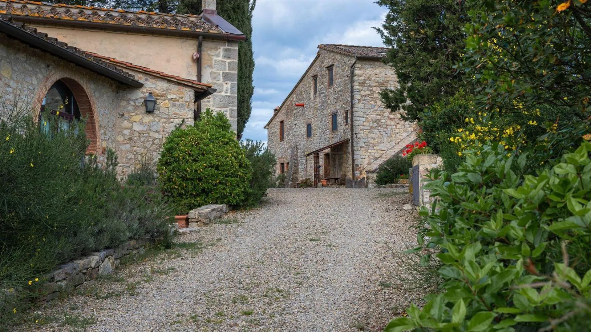 Lavanda Gaiole in Chianti Italy