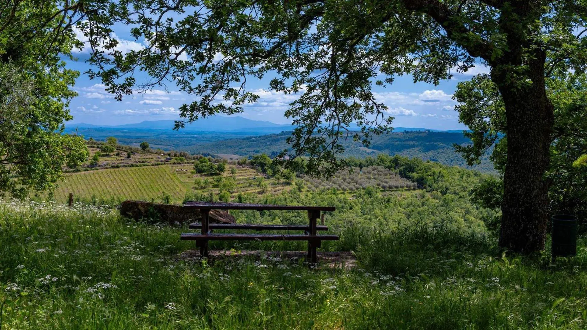Lavanda Gaiole in Chianti 0*,  Italy