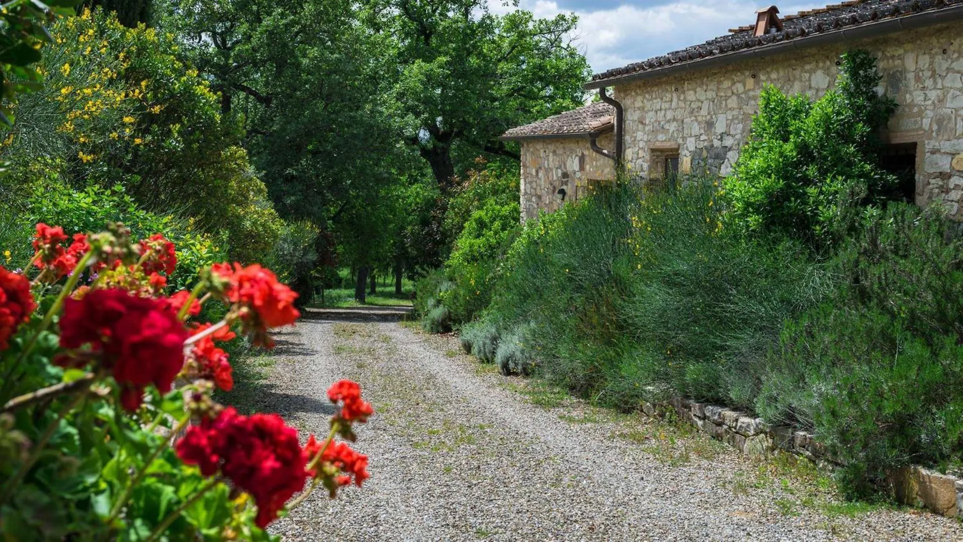 Lavanda Gaiole in Chianti 0*,